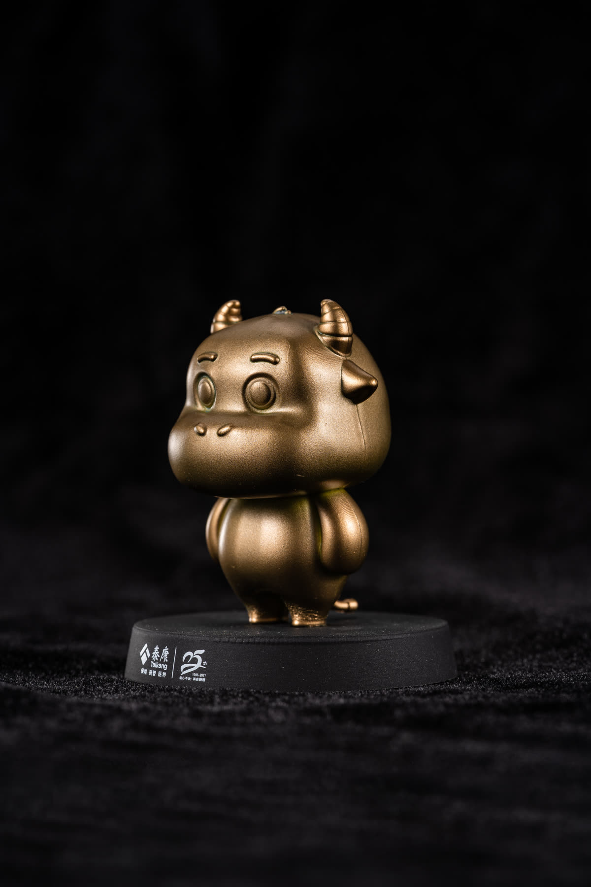 金牛 照片 2