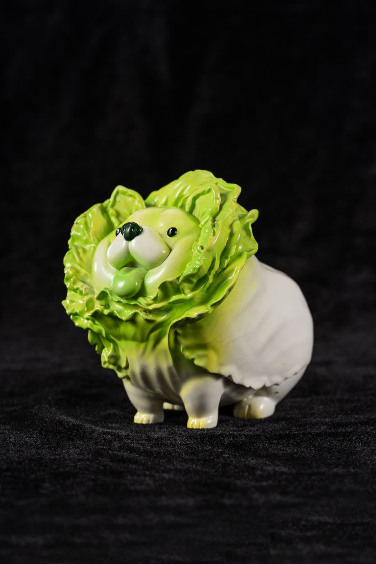高麗菜狗 照片 1