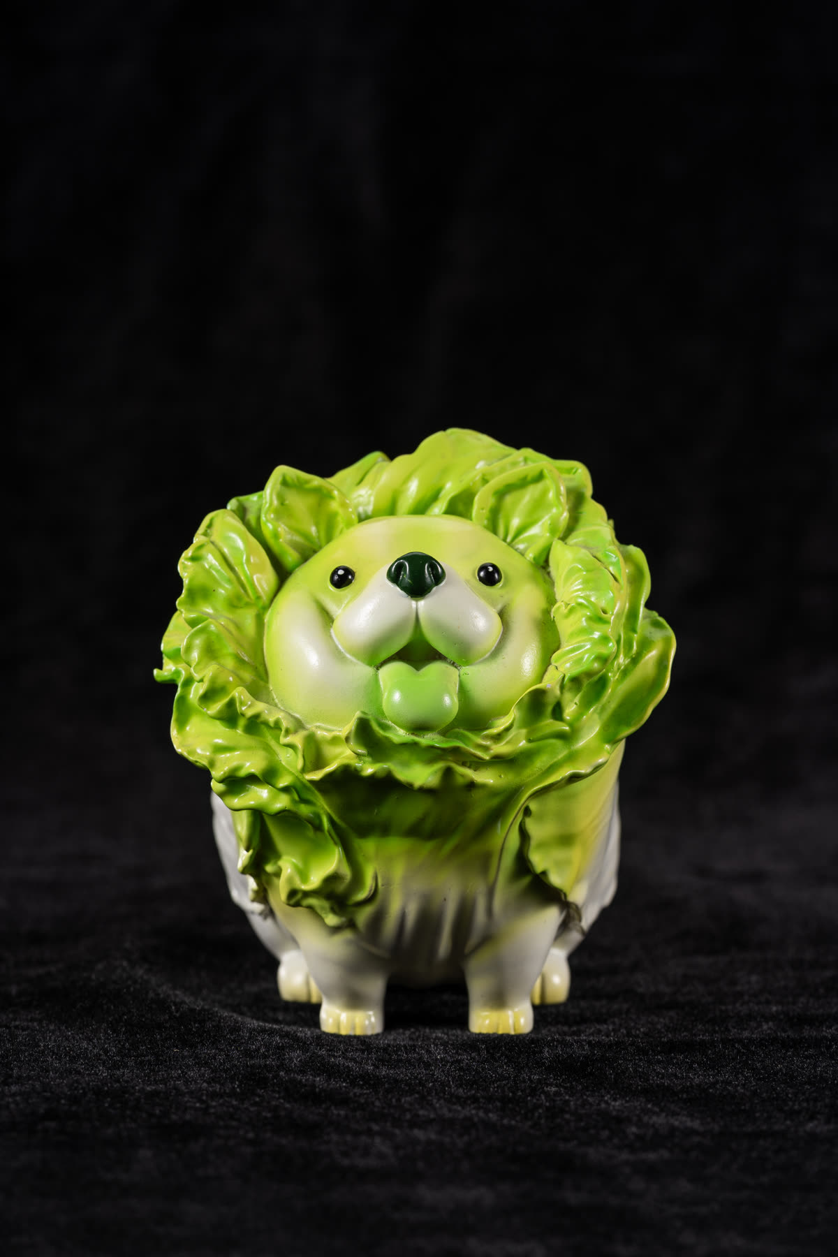 高麗菜狗 照片 2