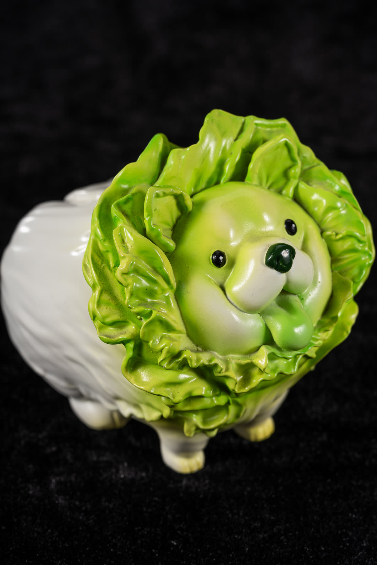 高麗菜狗 照片 3