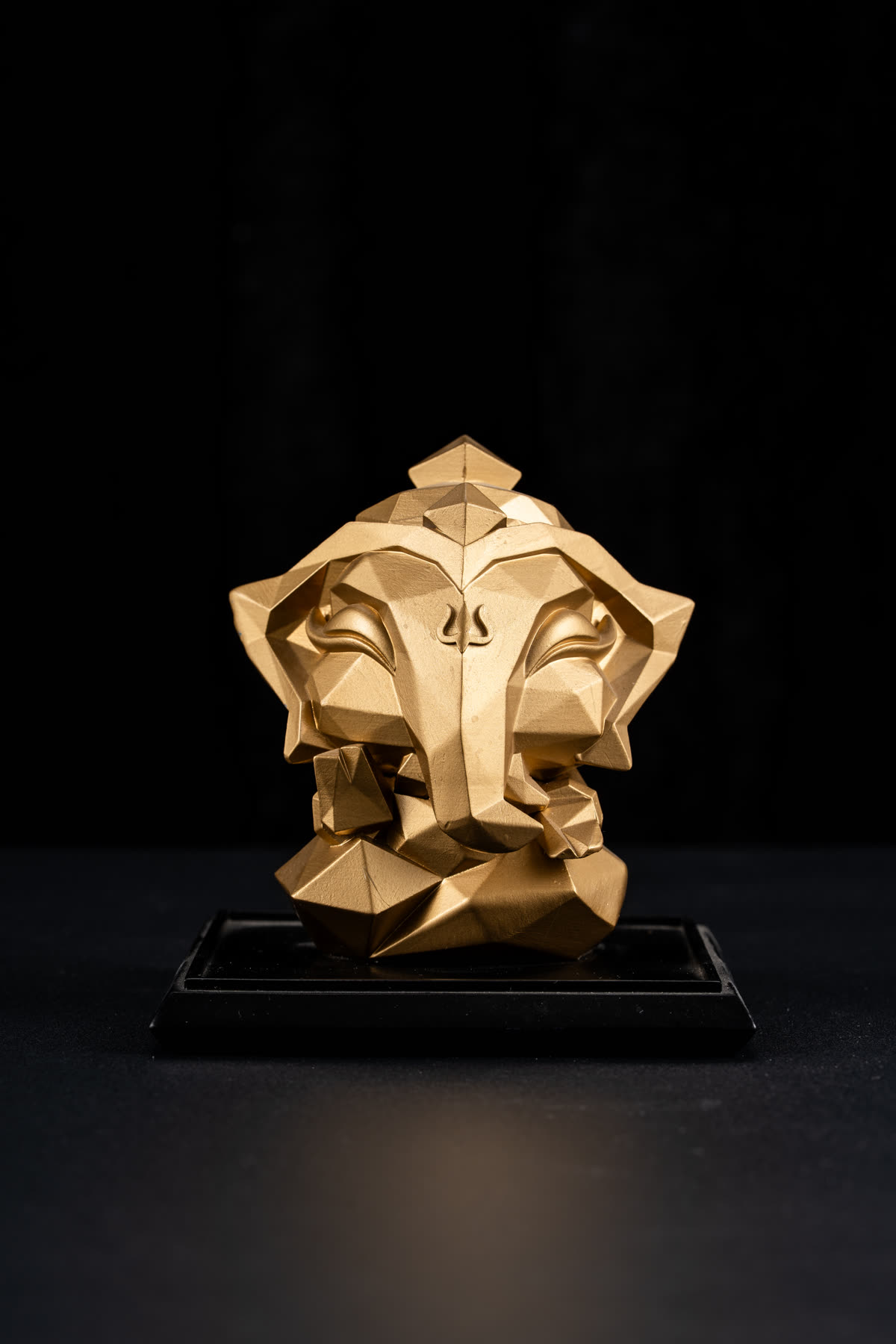 切面金獅 照片 1