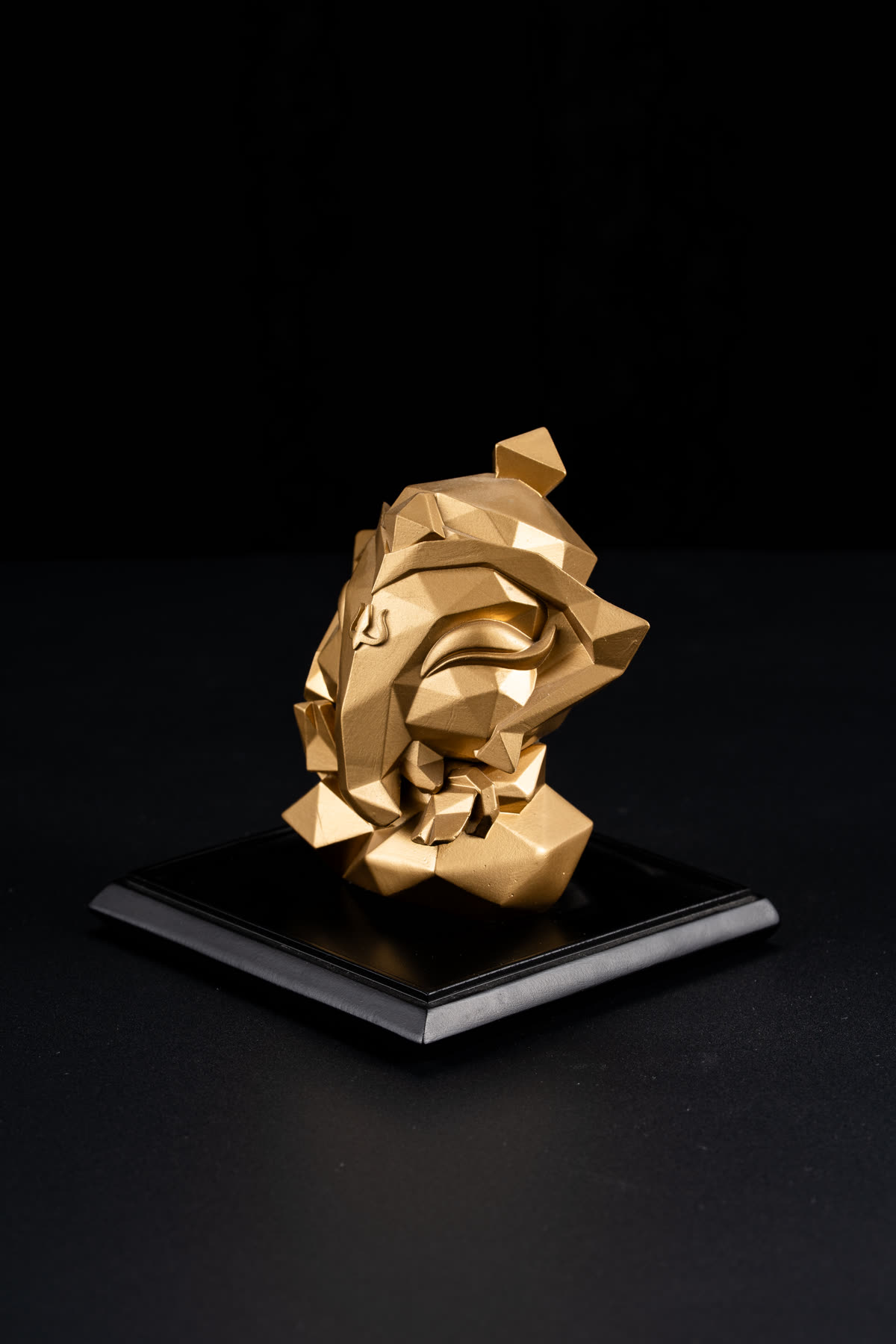 切面金獅 照片 2
