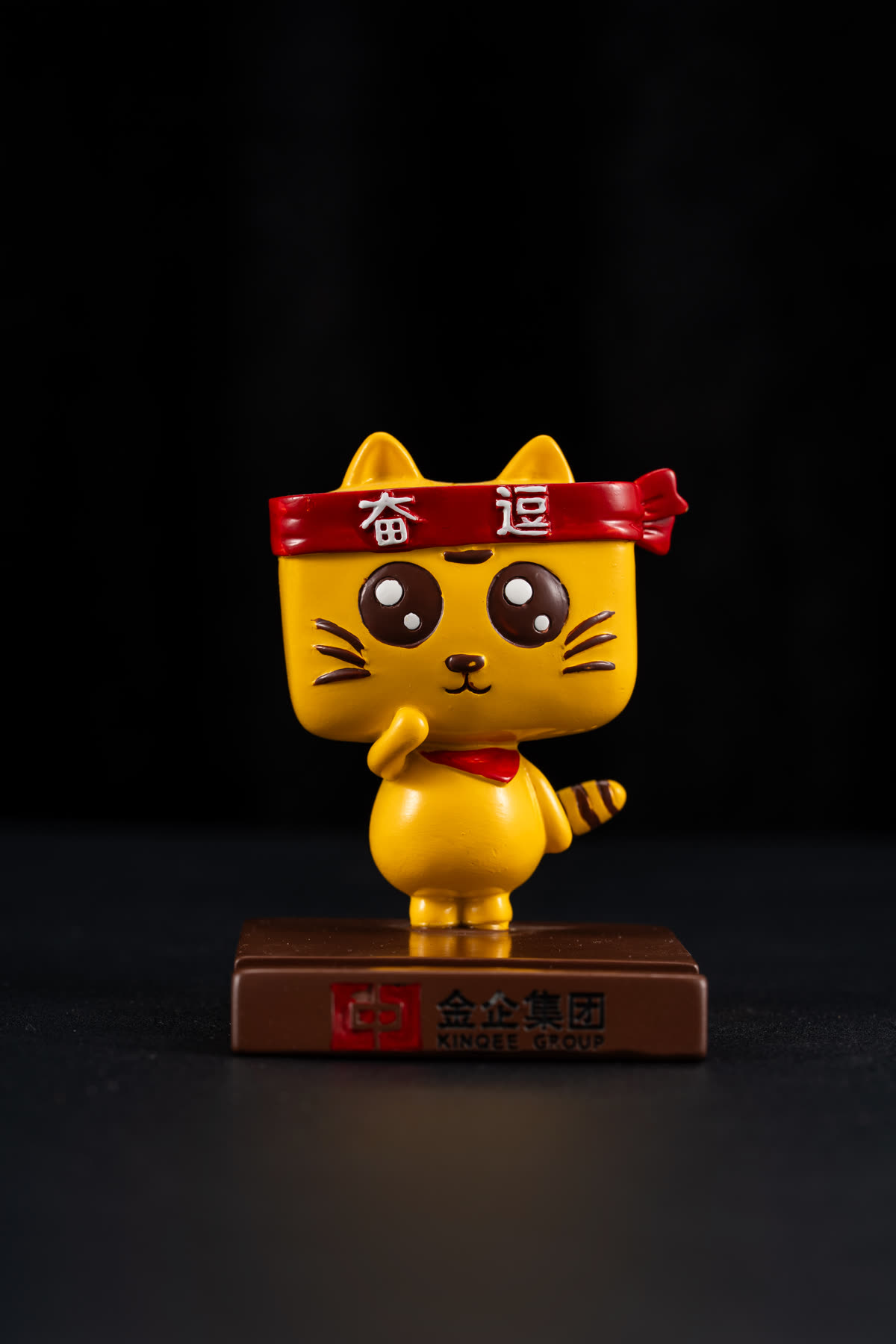 奮進貓 照片 1