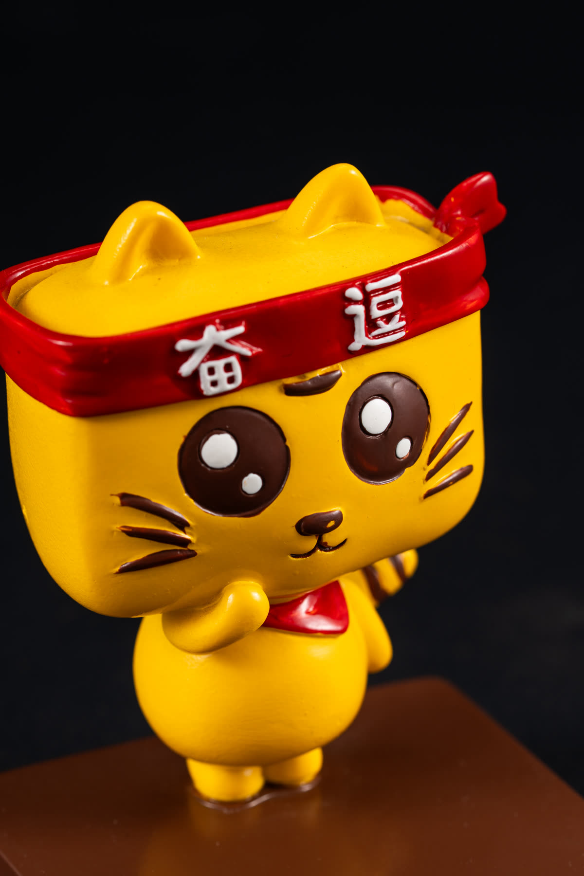 奮進貓 照片 3