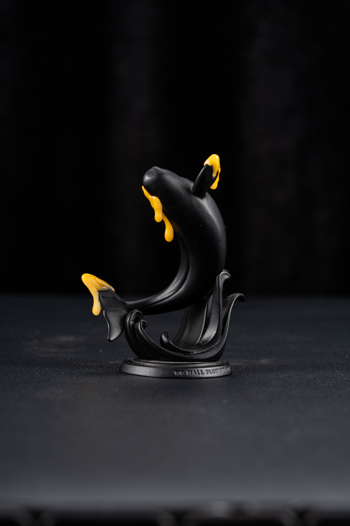 金紋海豚 照片 1